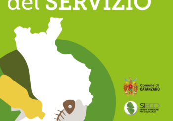 Avviso Raccolta Organico